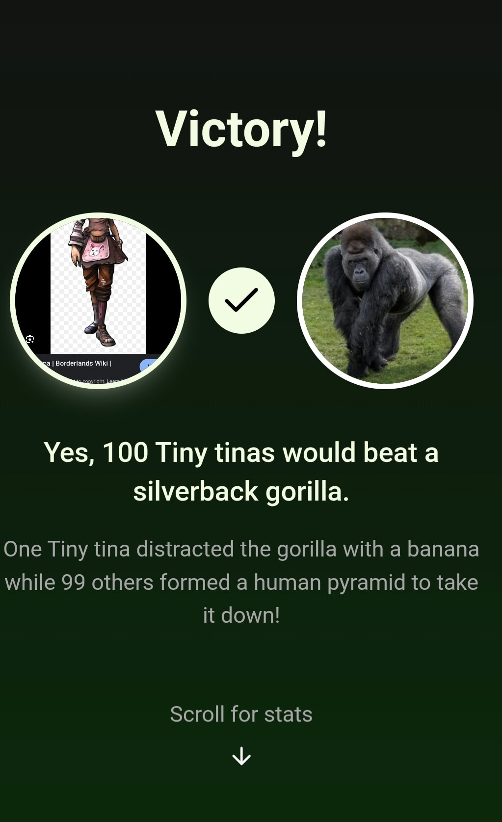 ​​​