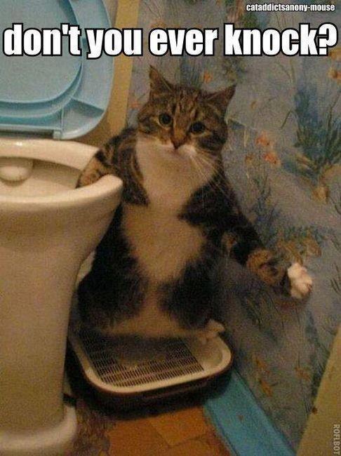 That feeling, when you are jerking and someone come into your room