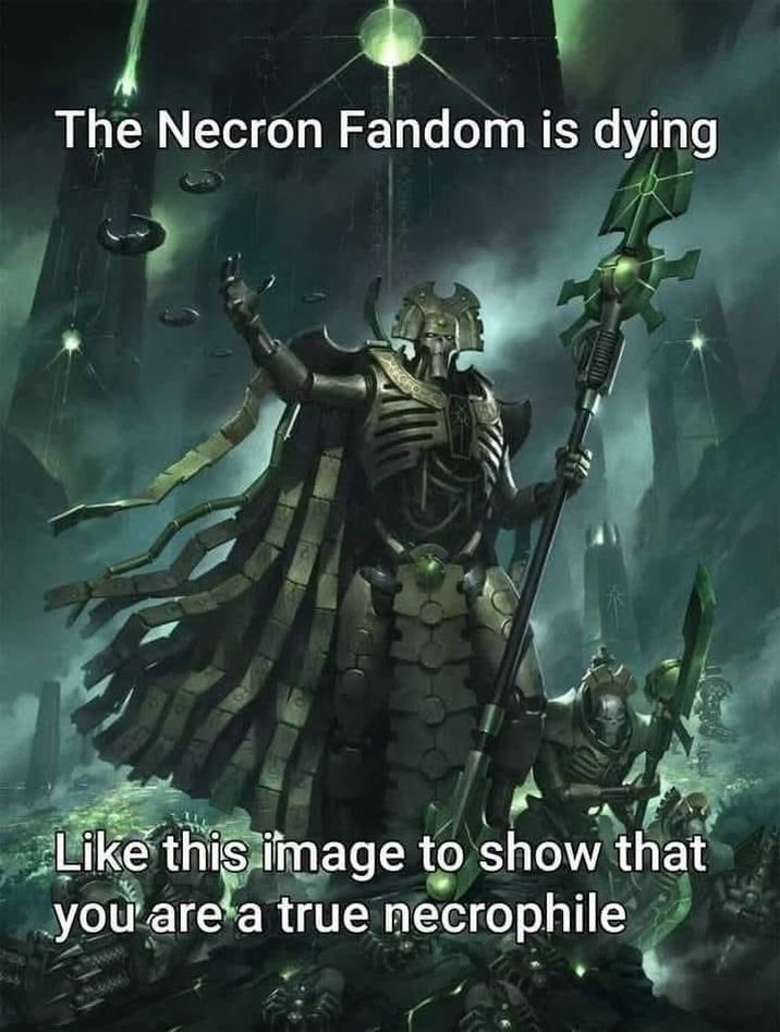 ​​​