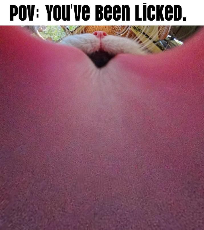 ​​​