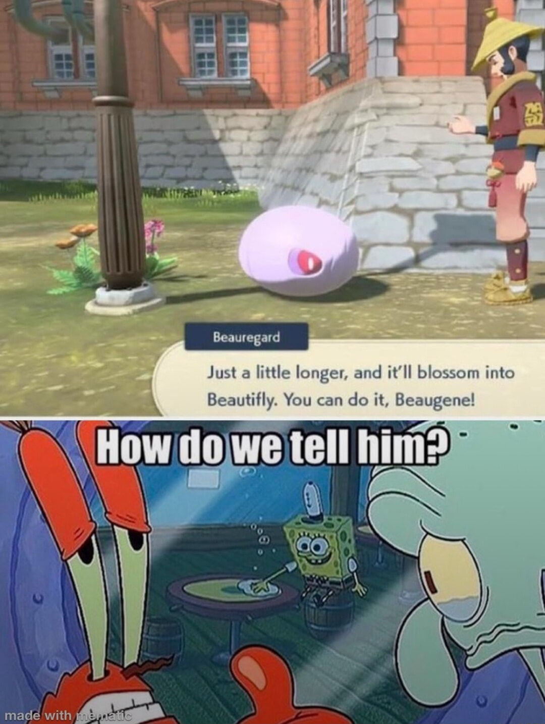 ​​​
