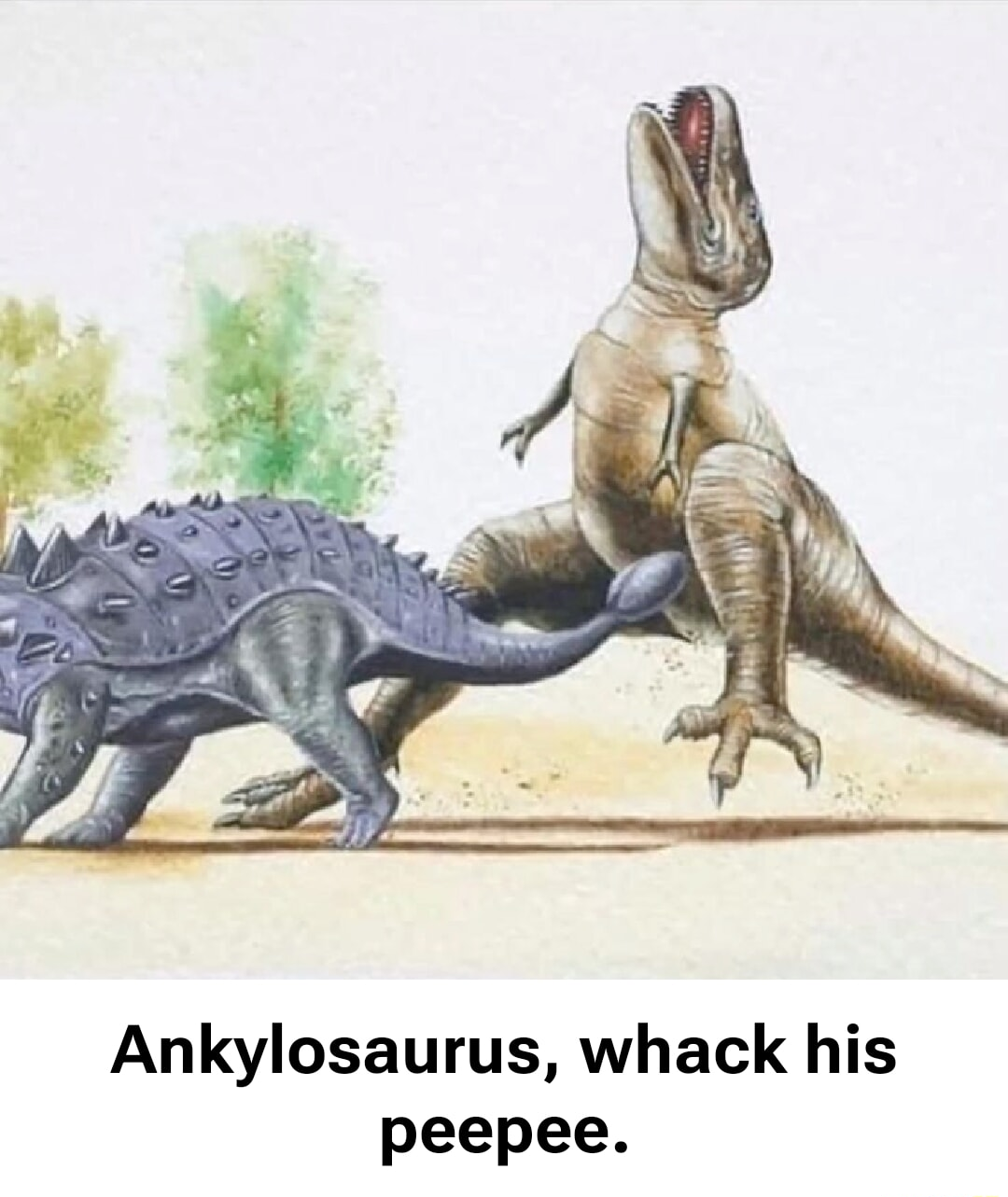 ​​​