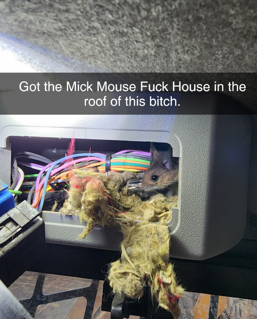 ​​​