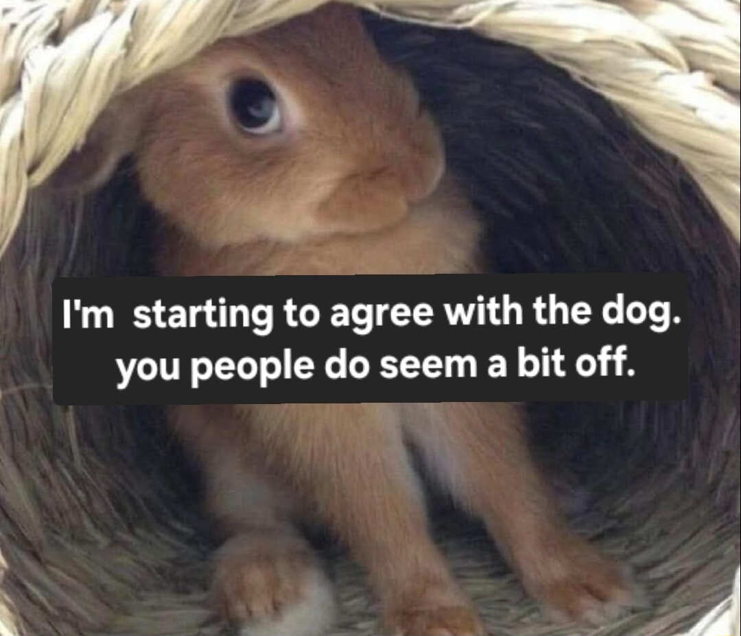 ​​​