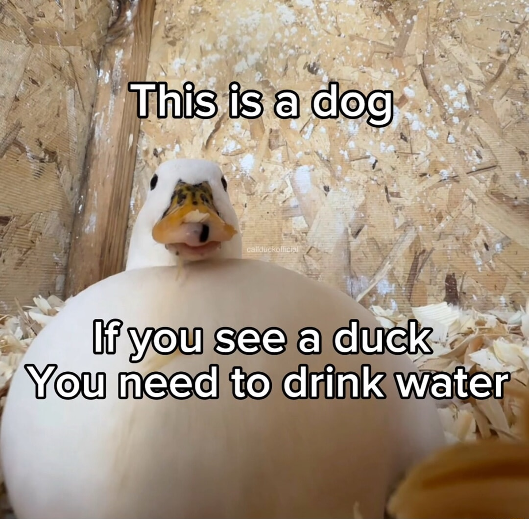 ​​​