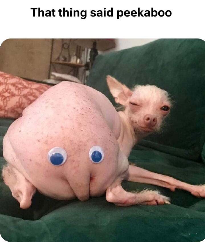 ​​​
