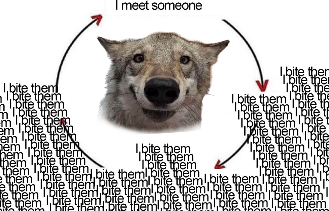 ​​​