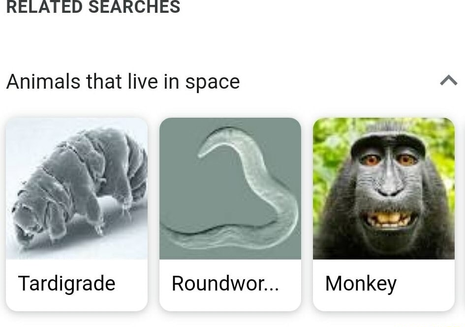 ​​​