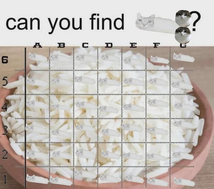 ​​​
