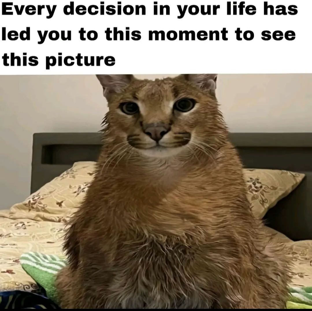 ‎ ‎ ‎