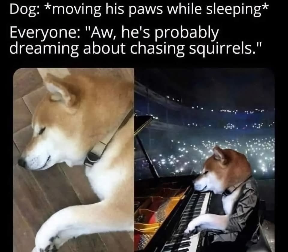Wrong fools