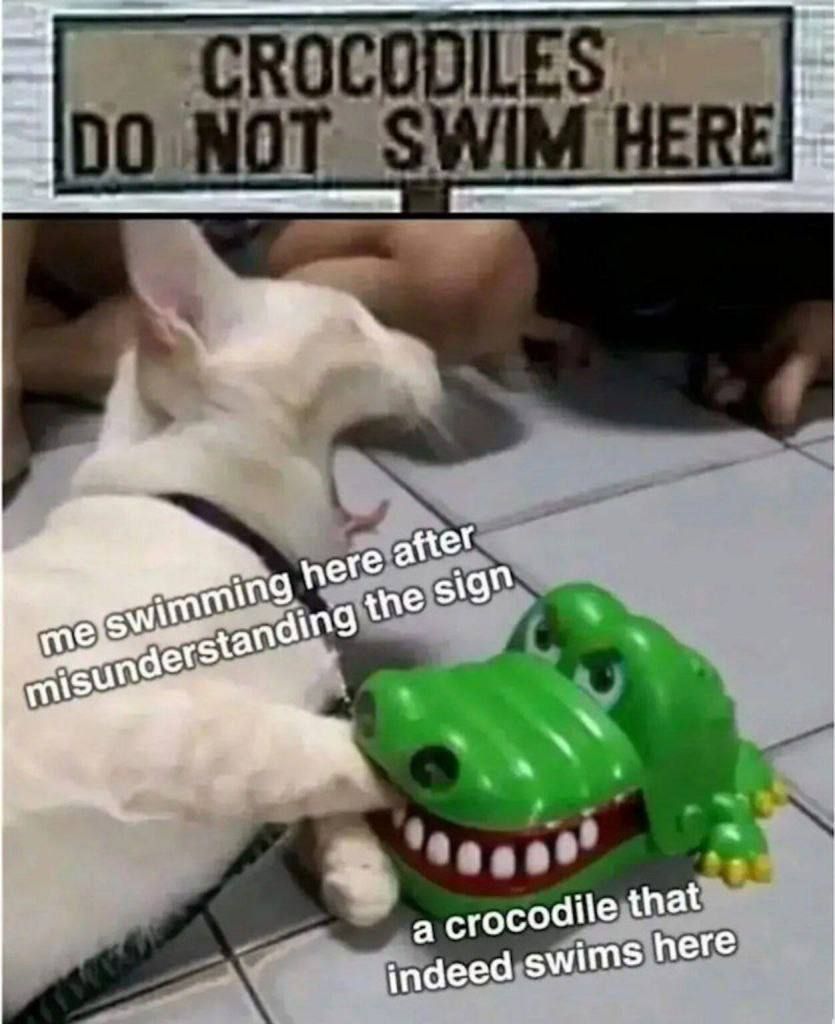 Don't dead, open inside