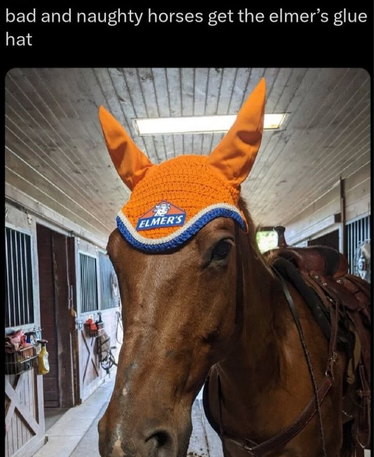 But what if the horse likes the hat?