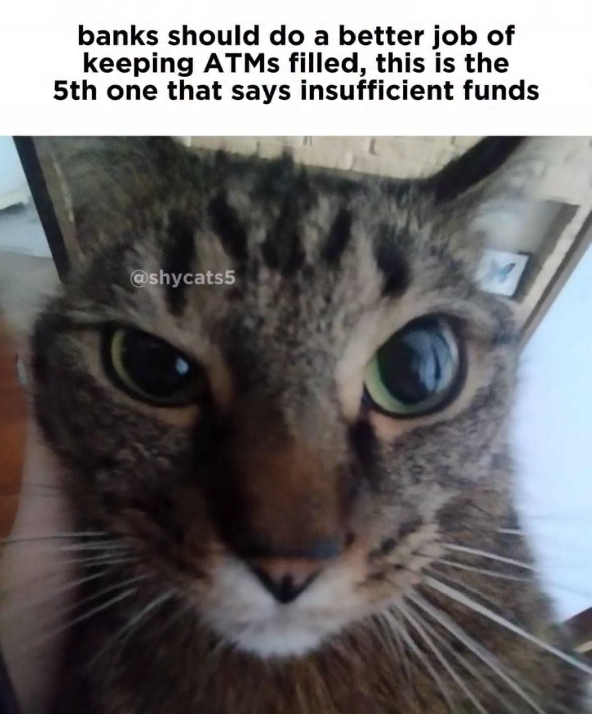 No money for ffb