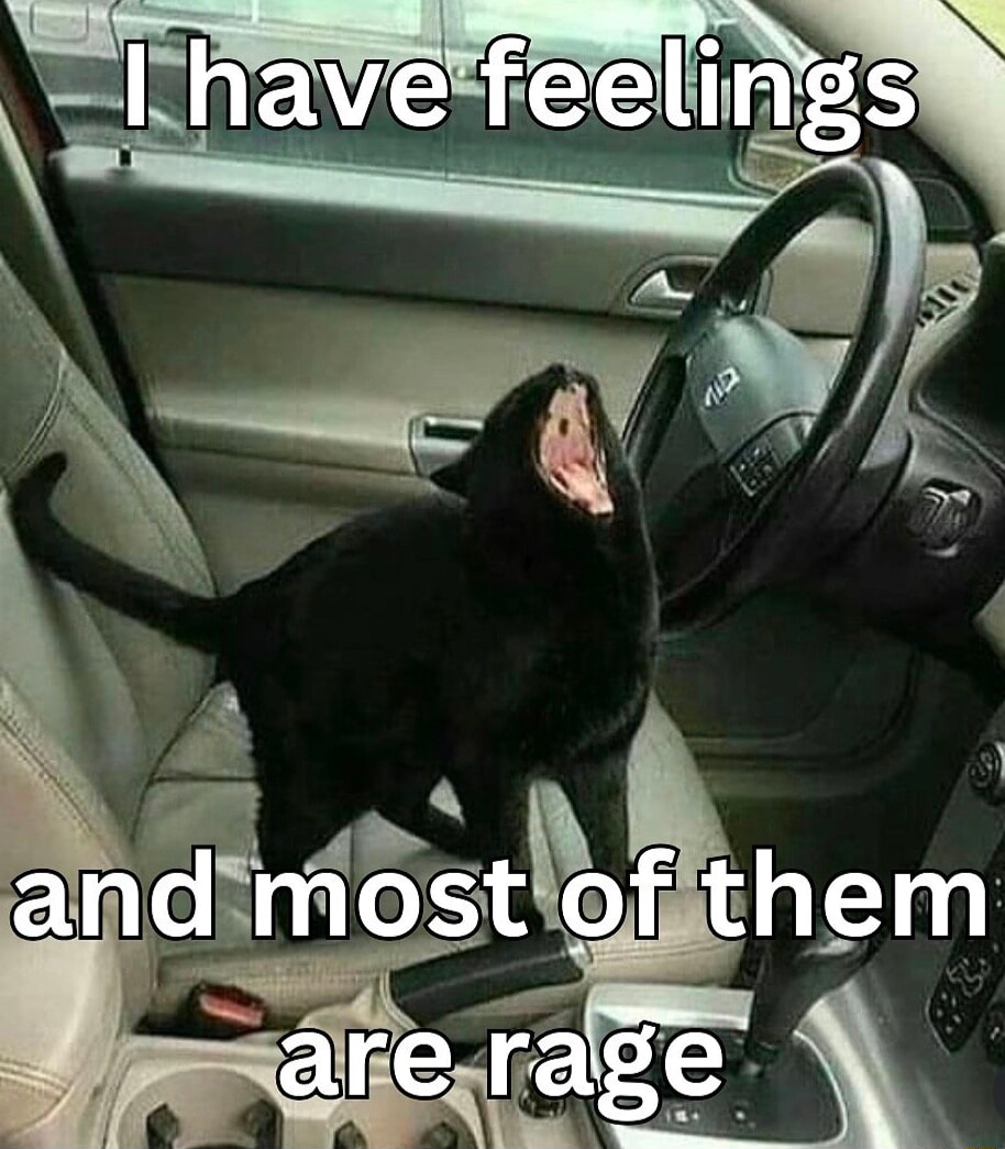 ​​​