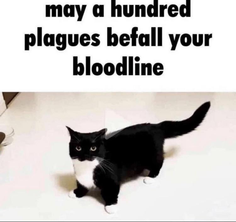 ​​​