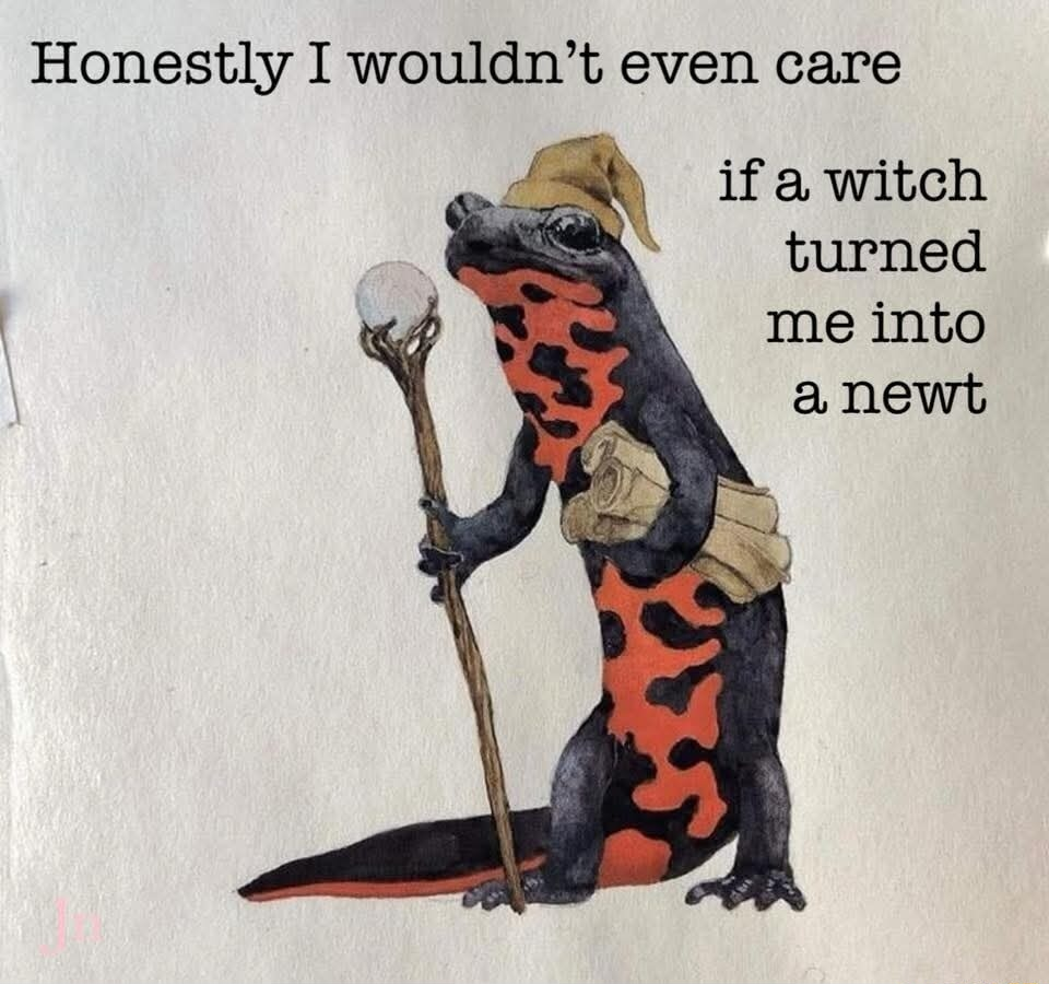 DND meme