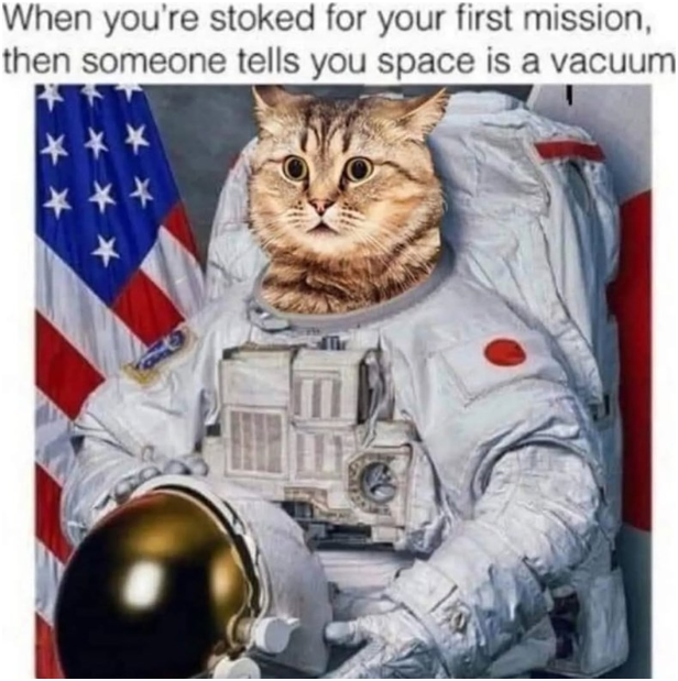 Just what I trained nine lives for