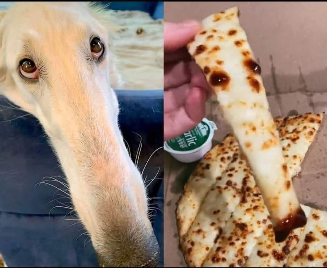 ​​​