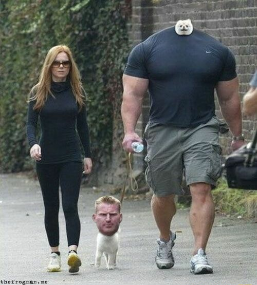 ​​​