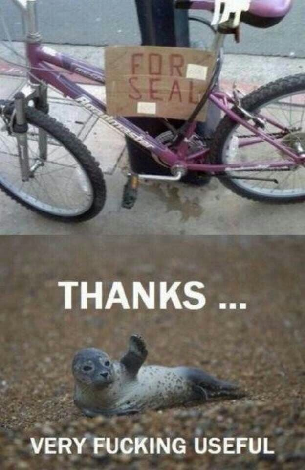 ​​​