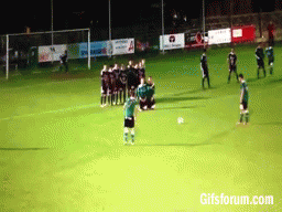 Sense. This freekick makes none