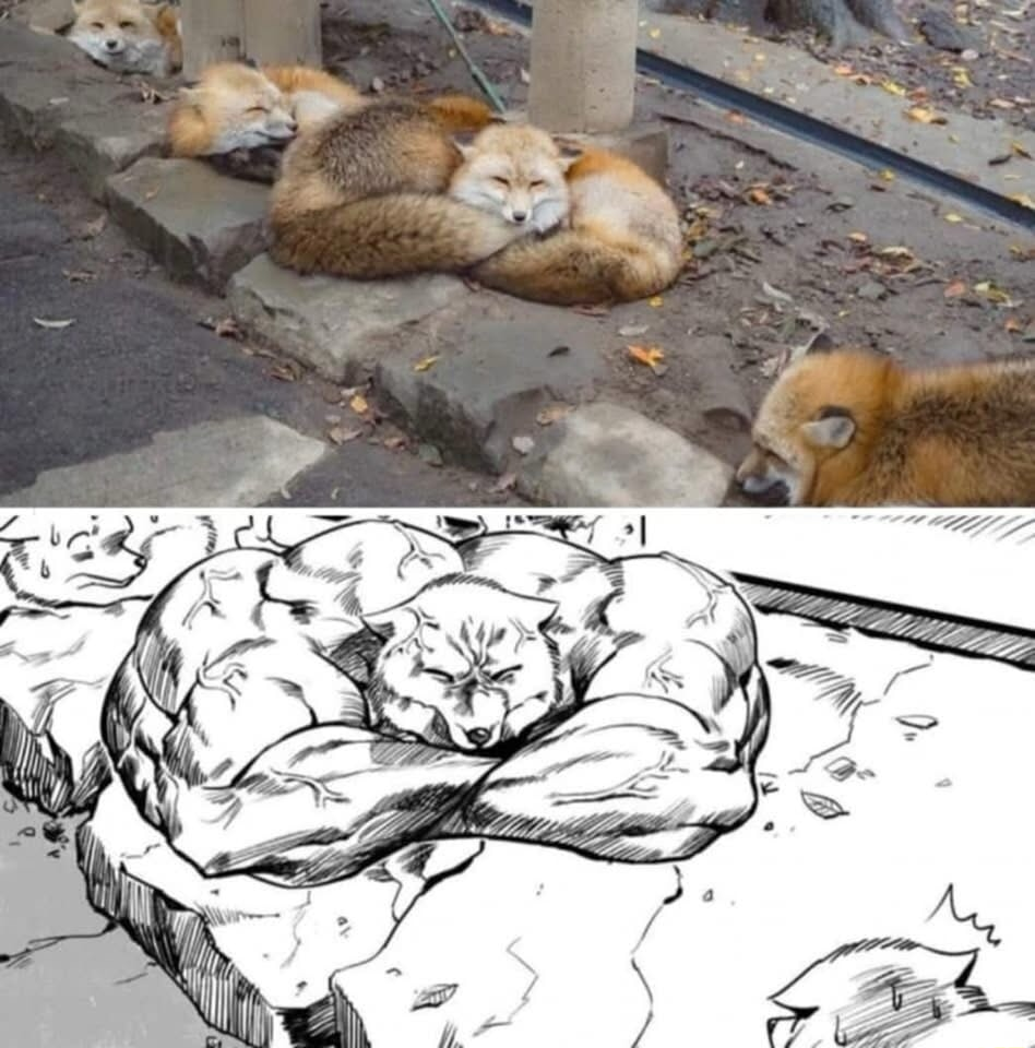 ​​​