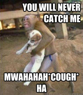 My thoughts when seeing a puppy