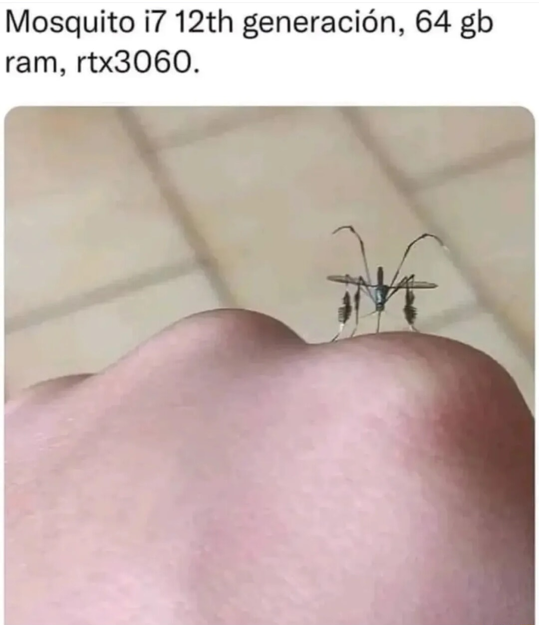 ​​​