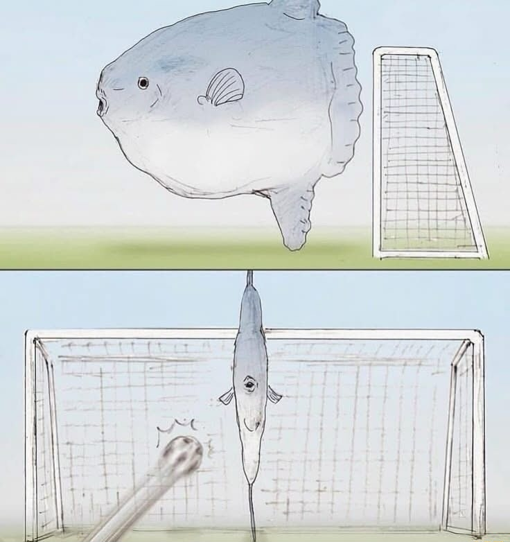 ​​​