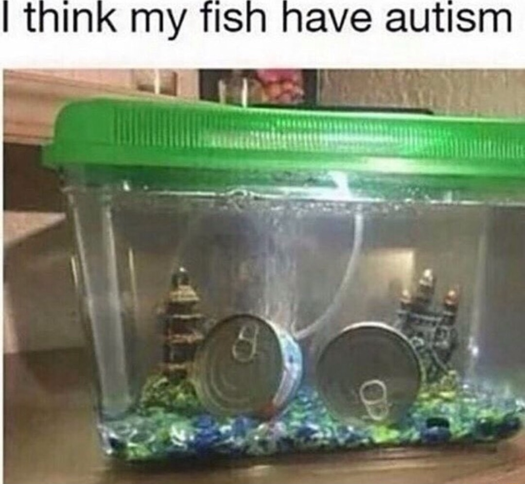 ​​​