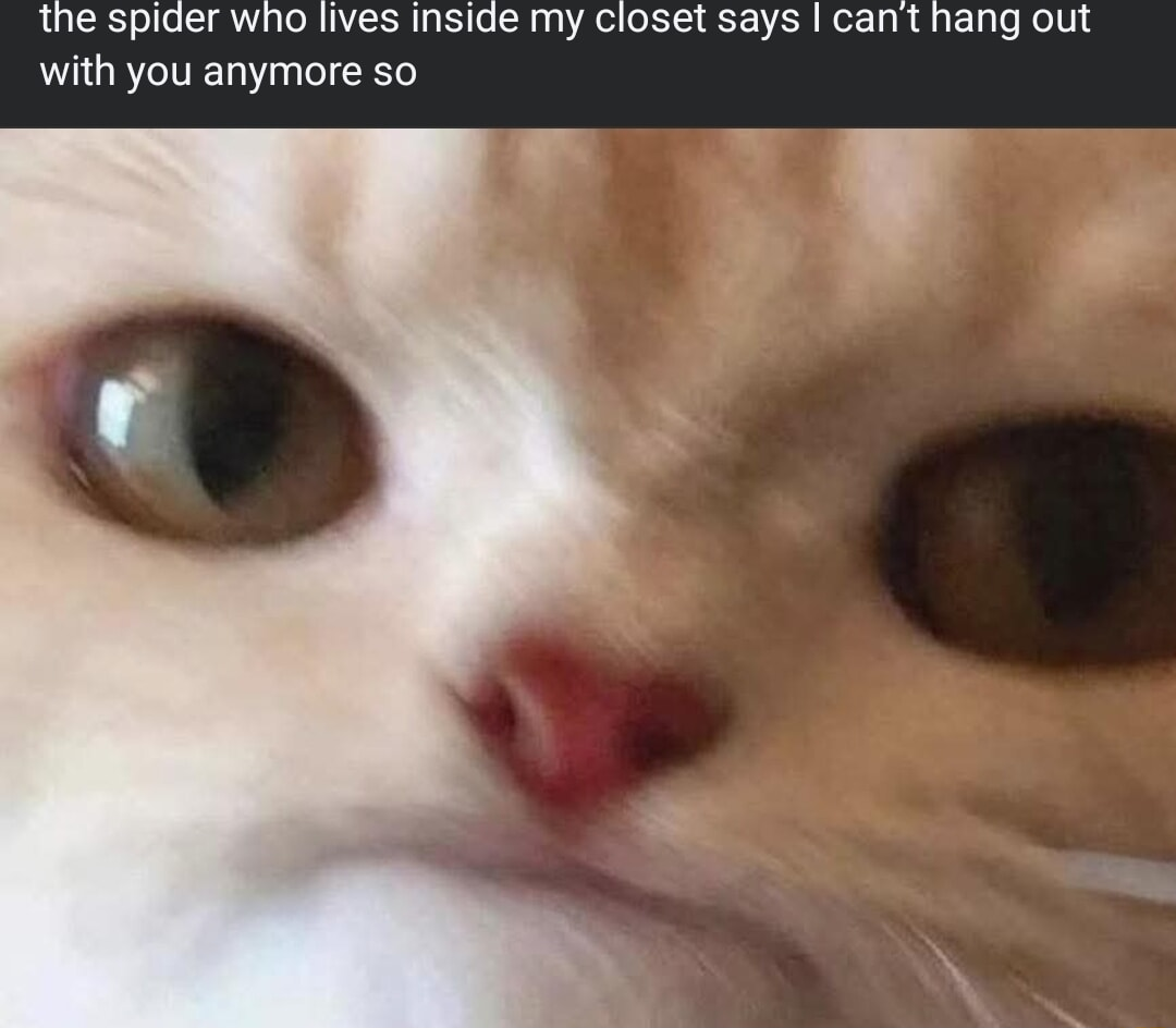 ​​​