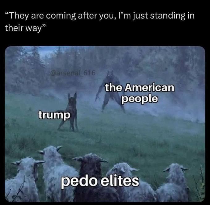 The hero we didn't deserve