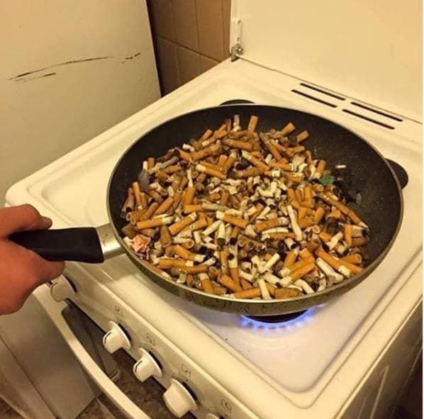 Breakfast of champions