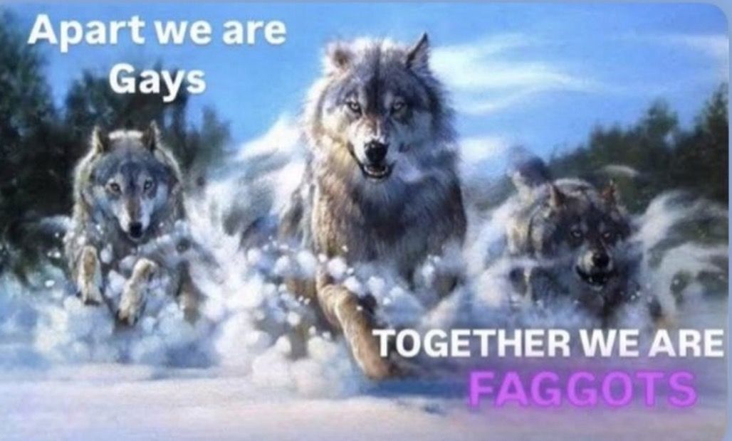 Huge we are lol