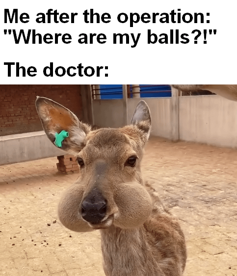 deerz nuts
