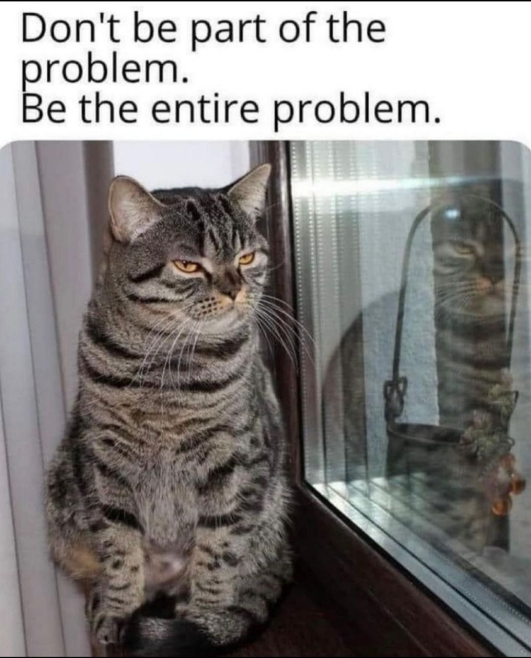 literally me