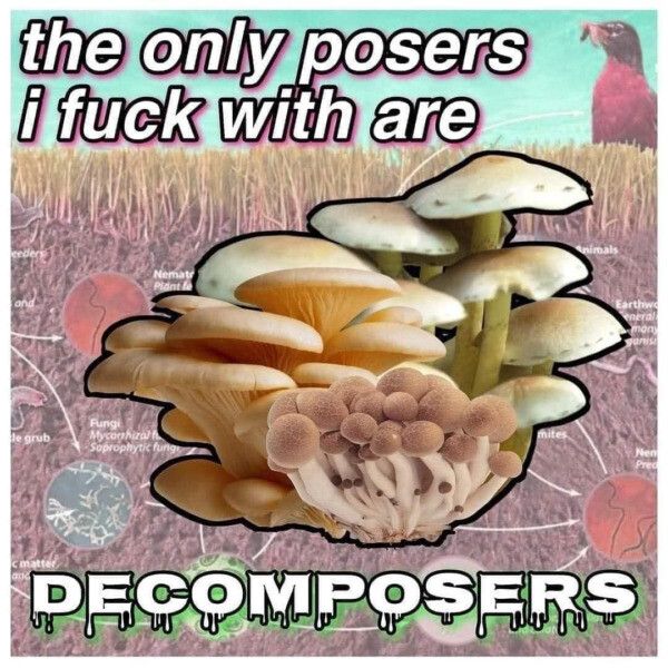 They're the real ones