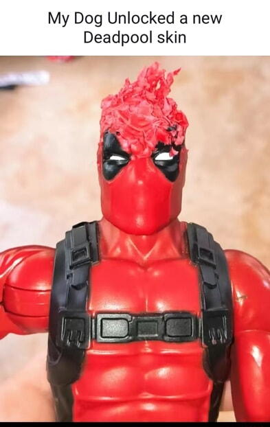 ​​​
