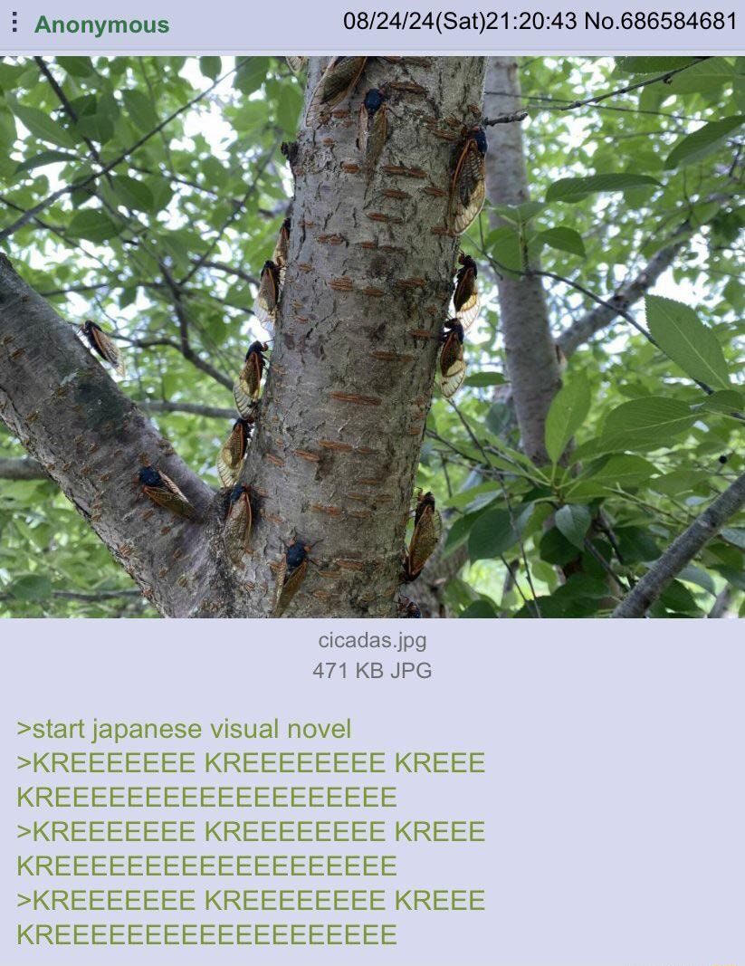 ​​​