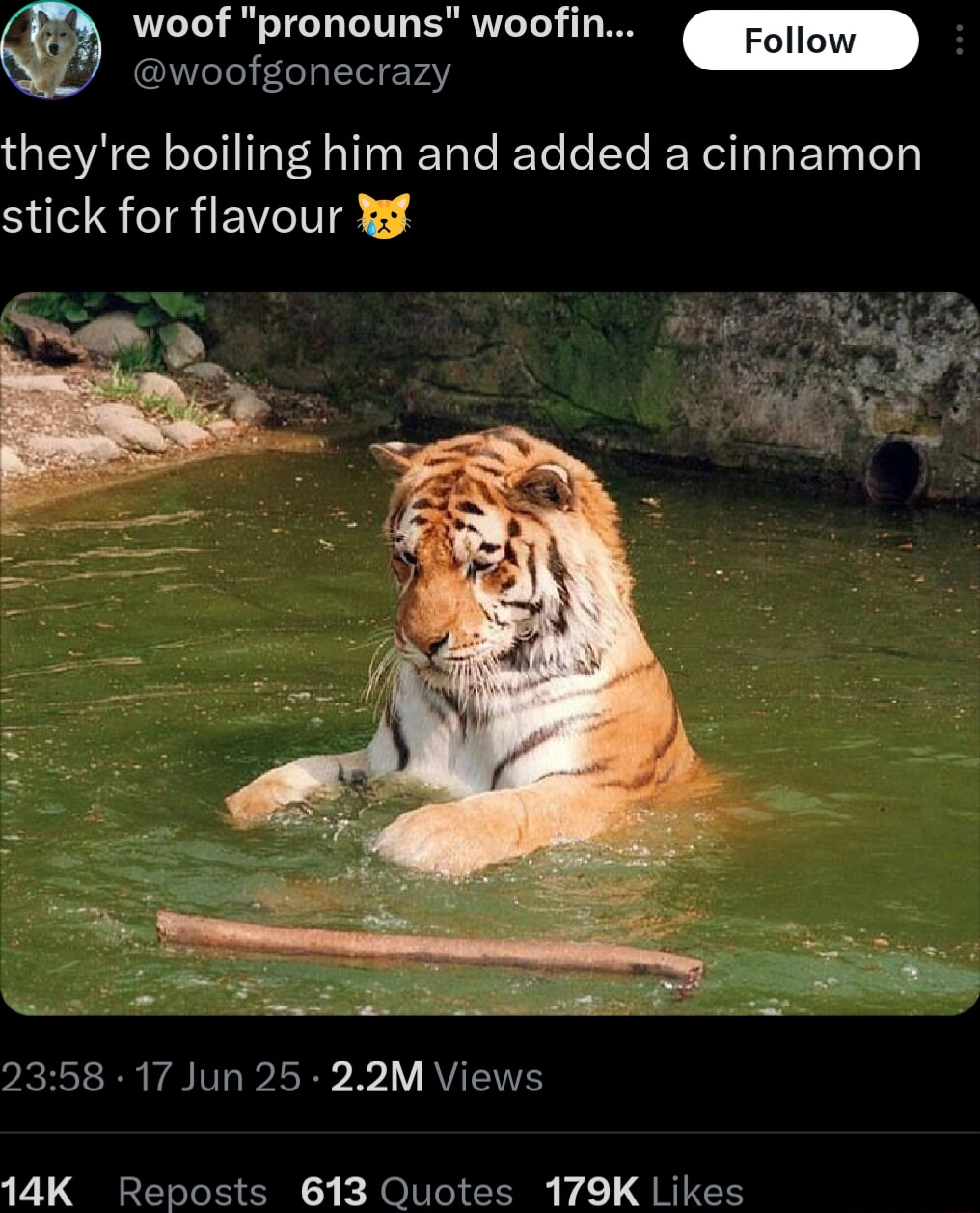 ​​​
