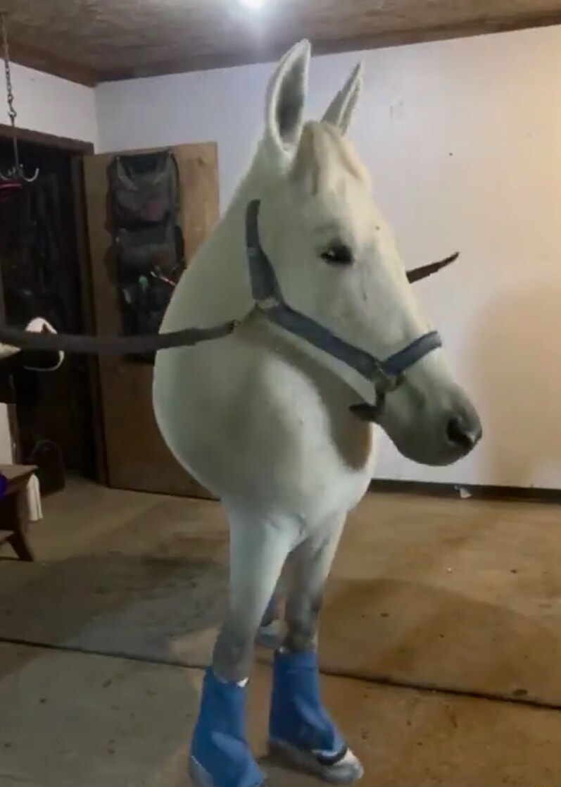 ​​​