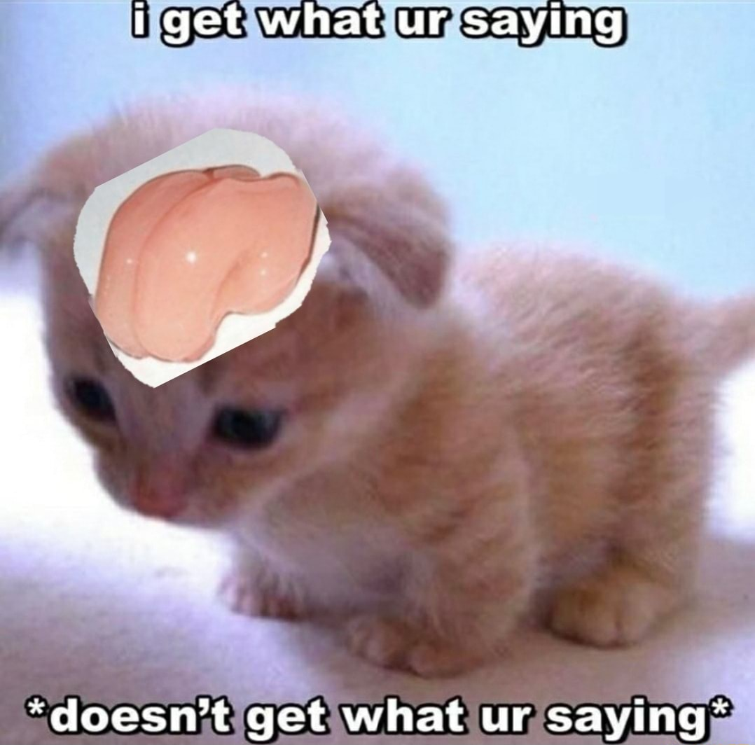 ​​​
