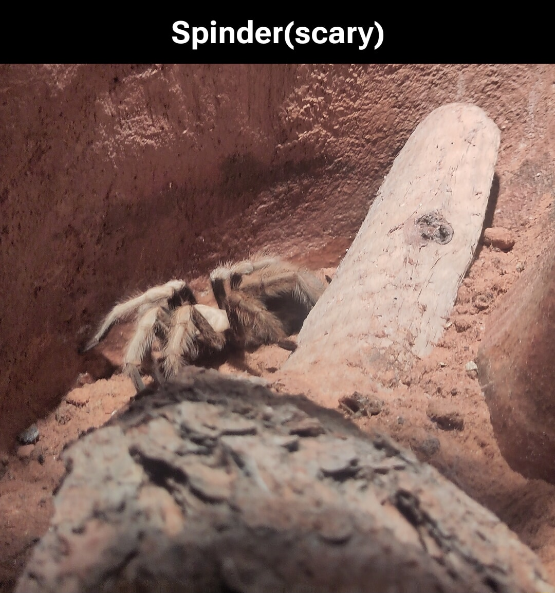 ​​​
