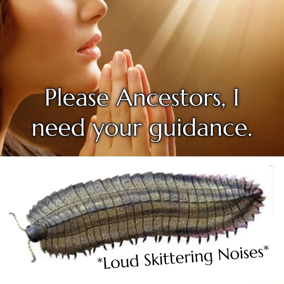 ​​​