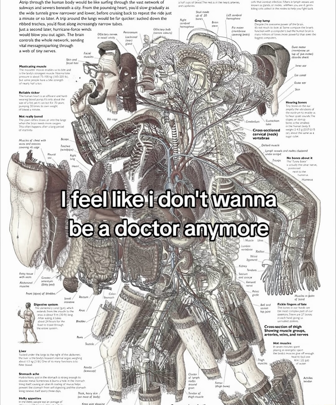 ​​​