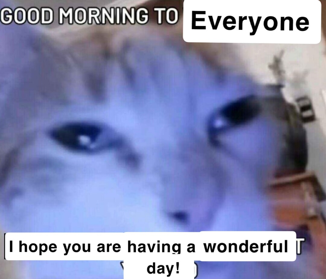 ​​​