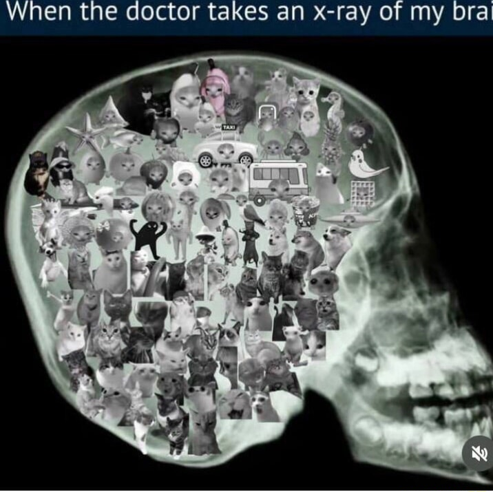 ​​​