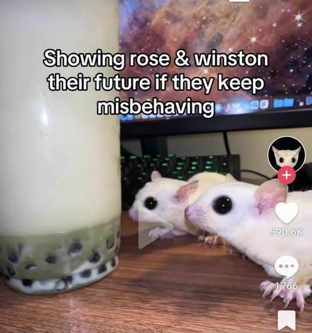 ​​​