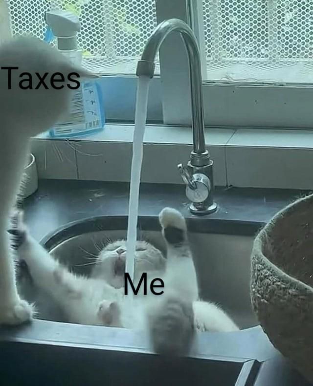 ​​​